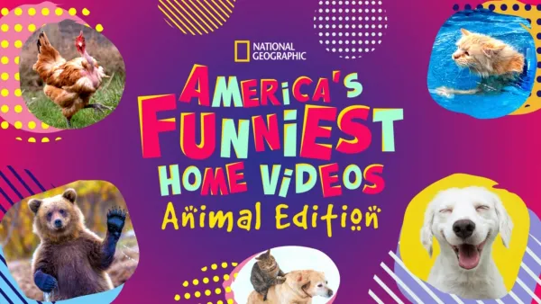 缩略图-美国有趣的家庭视频:动物版