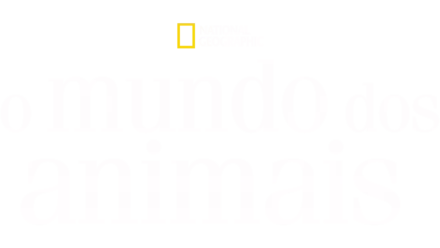 O Mundo dos Animais