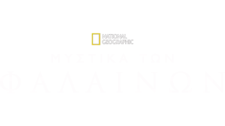 Μυστικά των Φαλαινών