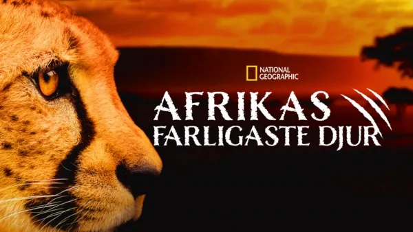 thumbnail - Afrikas farligaste djur