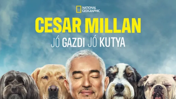 thumbnail - Cesar Millan: Jó gazdi, jó kutya