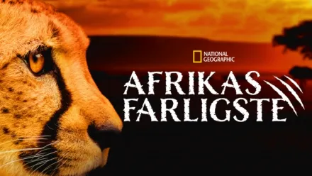 thumbnail - Afrikas farligste