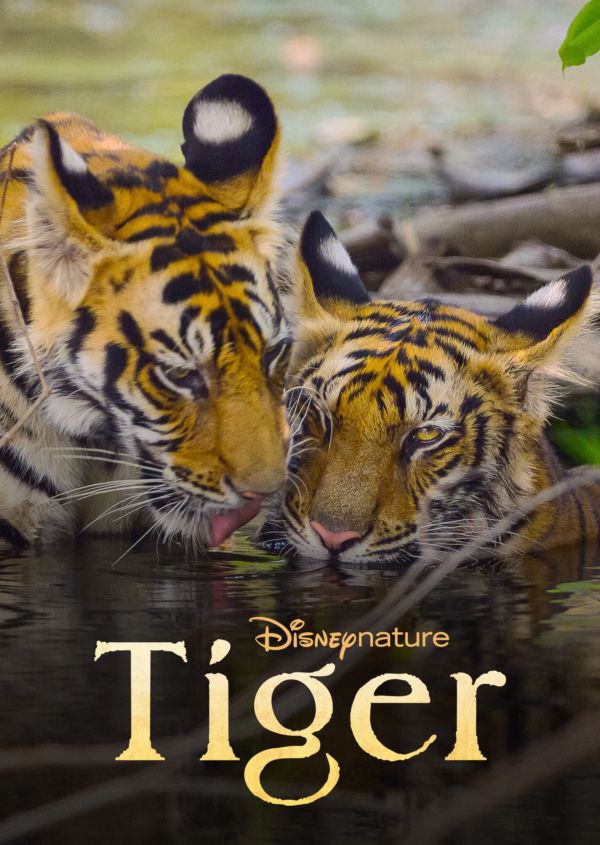 Tiger on Disney+ ES