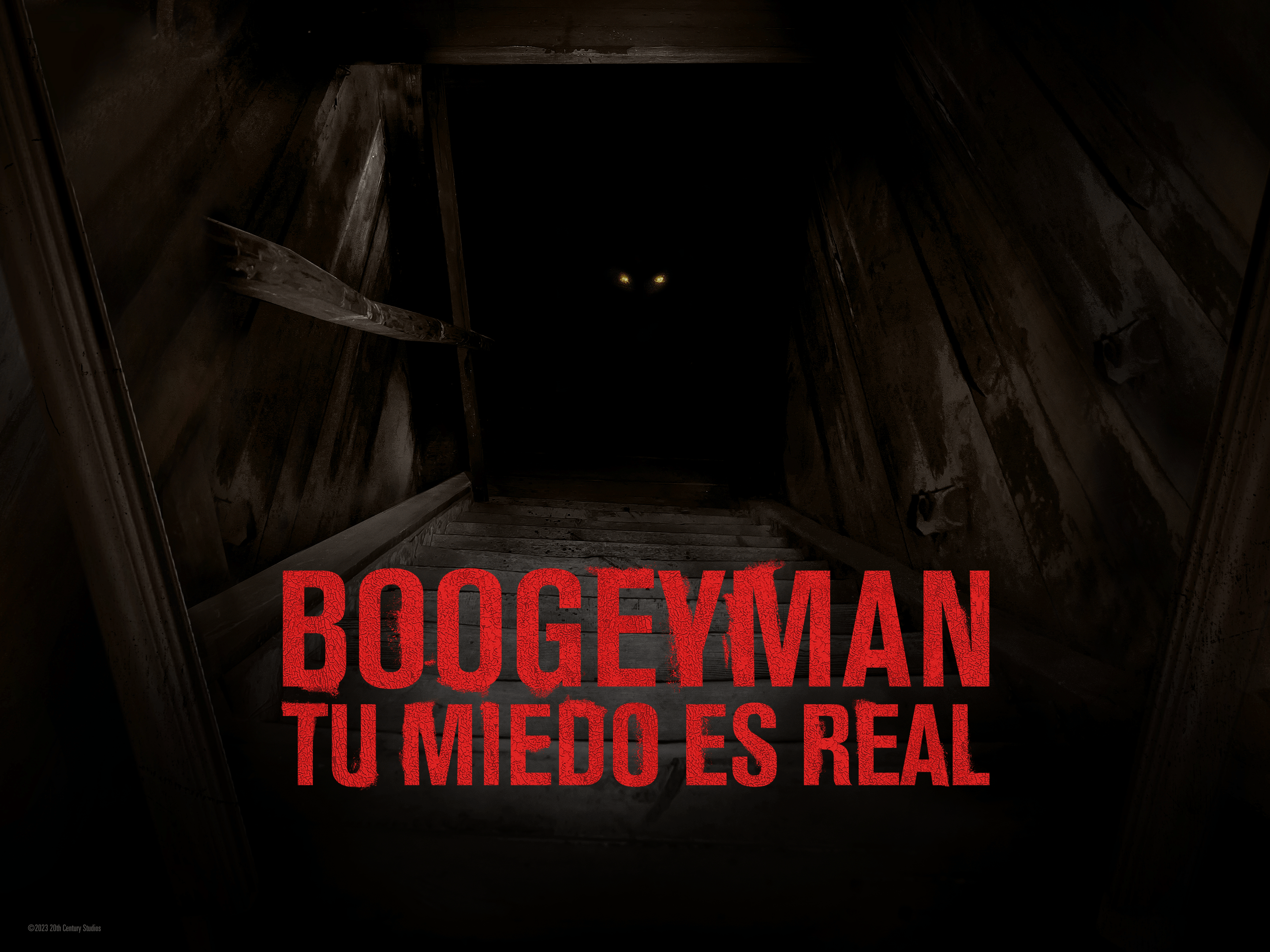 Ver Boogeyman: Tu Miedo Es Real | Disney+