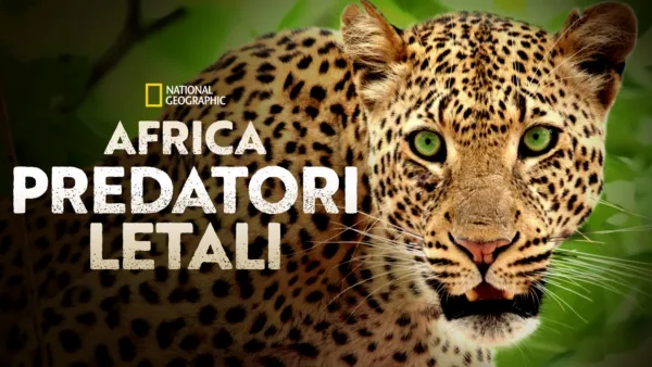 thumbnail - Africa: predatori letali