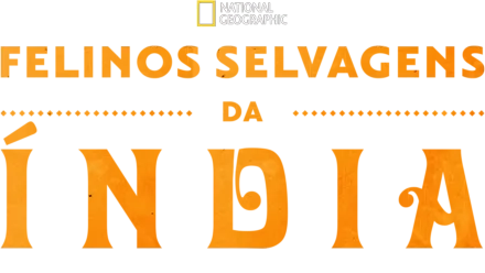 Gatos Selvagens da Índia