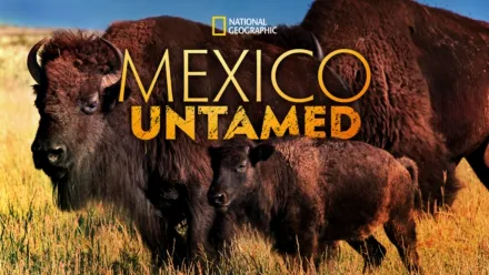 thumbnail - Mexico Untamed