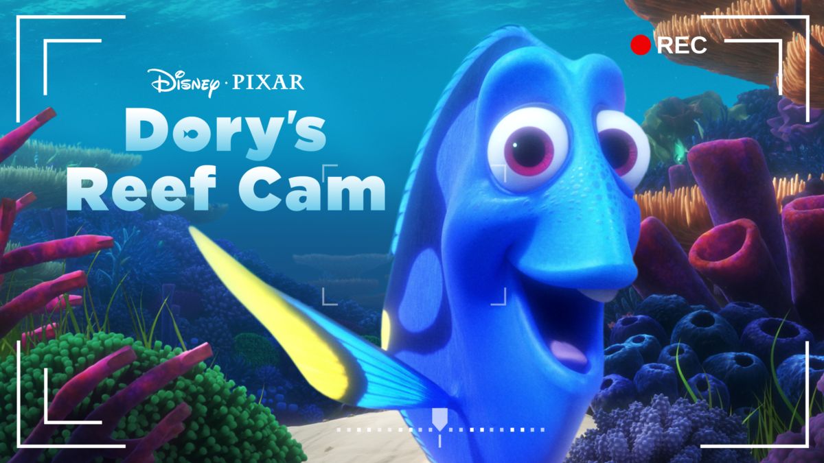 Watch Dory's Reef Cam Full movie Disney+