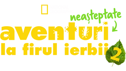 Aventuri neașteptate la firul ierbii