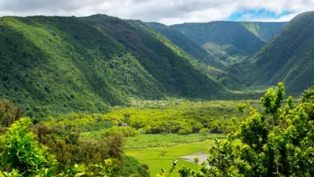 Destination Wild : Hawaï à l'état sauvage