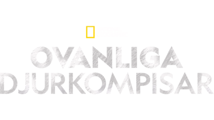 Ovanliga djurkompisar