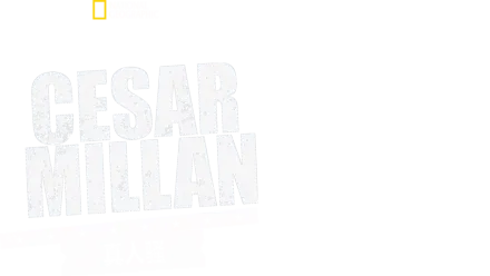 Cesar Millan真人骚