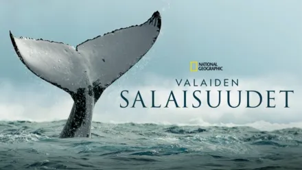 thumbnail - Valaiden salaisuudet