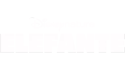 Elefante