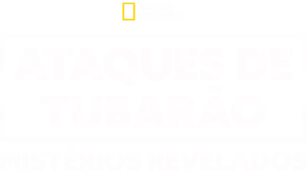 Ataques de Tubarão: Mistérios Revelados