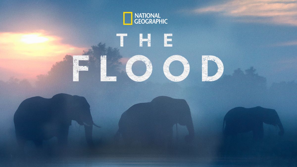 Watch The Flood Full Movie Disney+