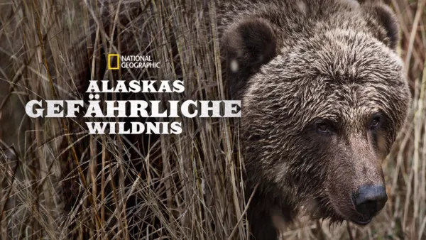 thumbnail - Alaskas gefährliche Wildnis
