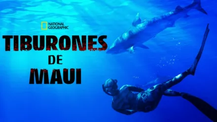 thumbnail - Tiburones de Maui