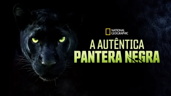 thumbnail - A Autêntica Pantera Negra