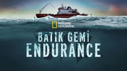 thumbnail - Batık Gemi Endurance