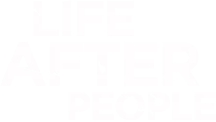 Life After People