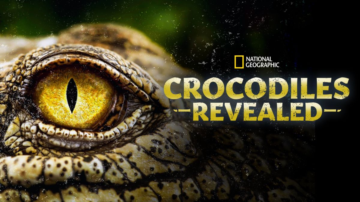 Watch Crocodiles Revealed Full movie Disney+