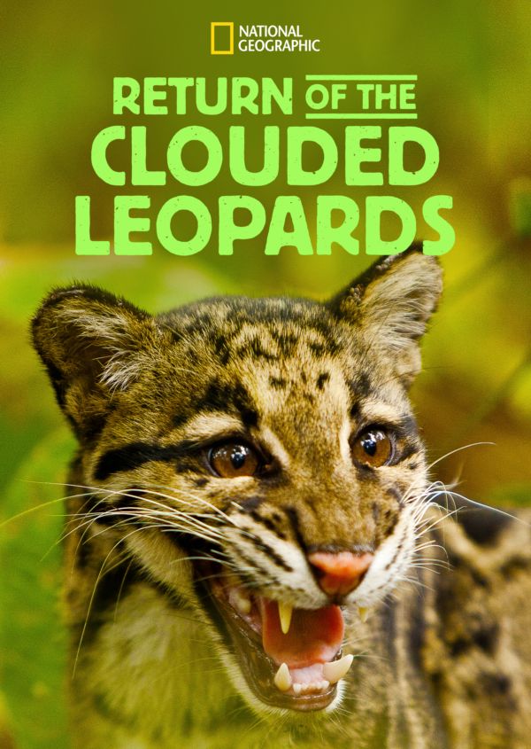 Return of the Clouded Leopards on Disney+ UK