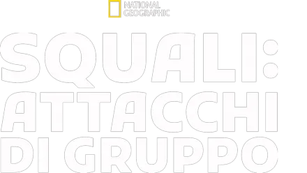 Squali: attacchi di gruppo