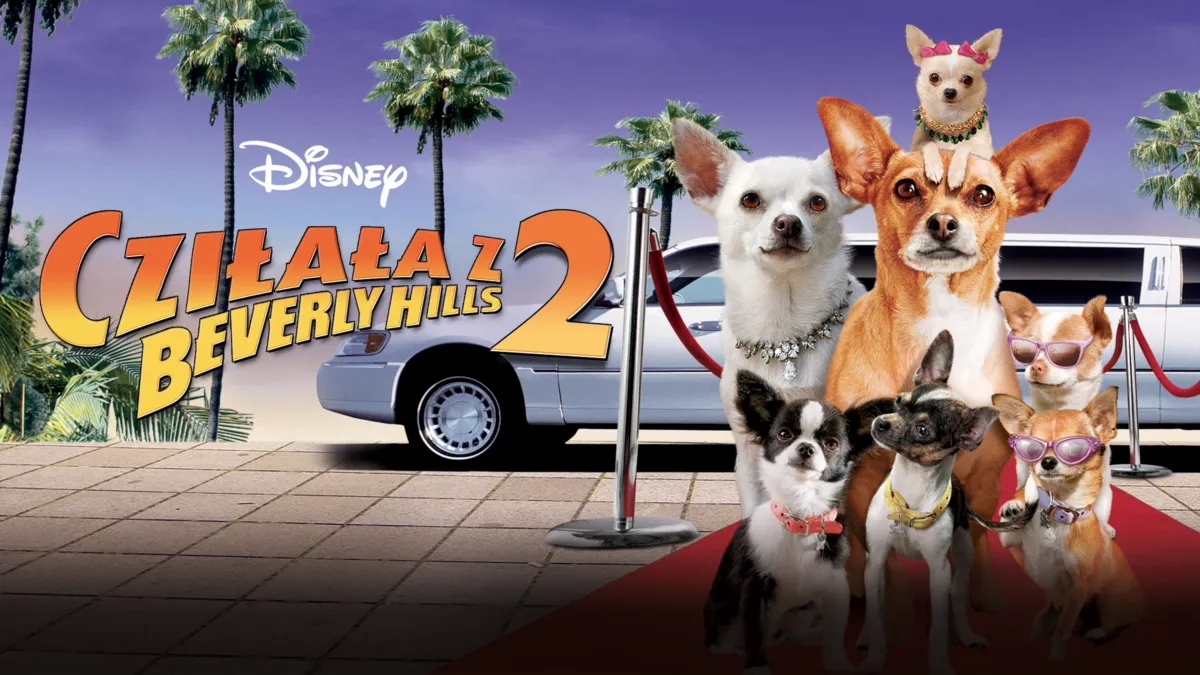 Oglądaj Cziłała z Beverly Hills 2 | Disney+