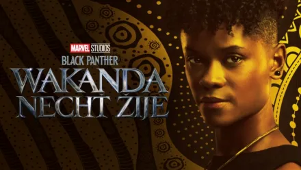 thumbnail - Black Panther: Wakanda nechť žije