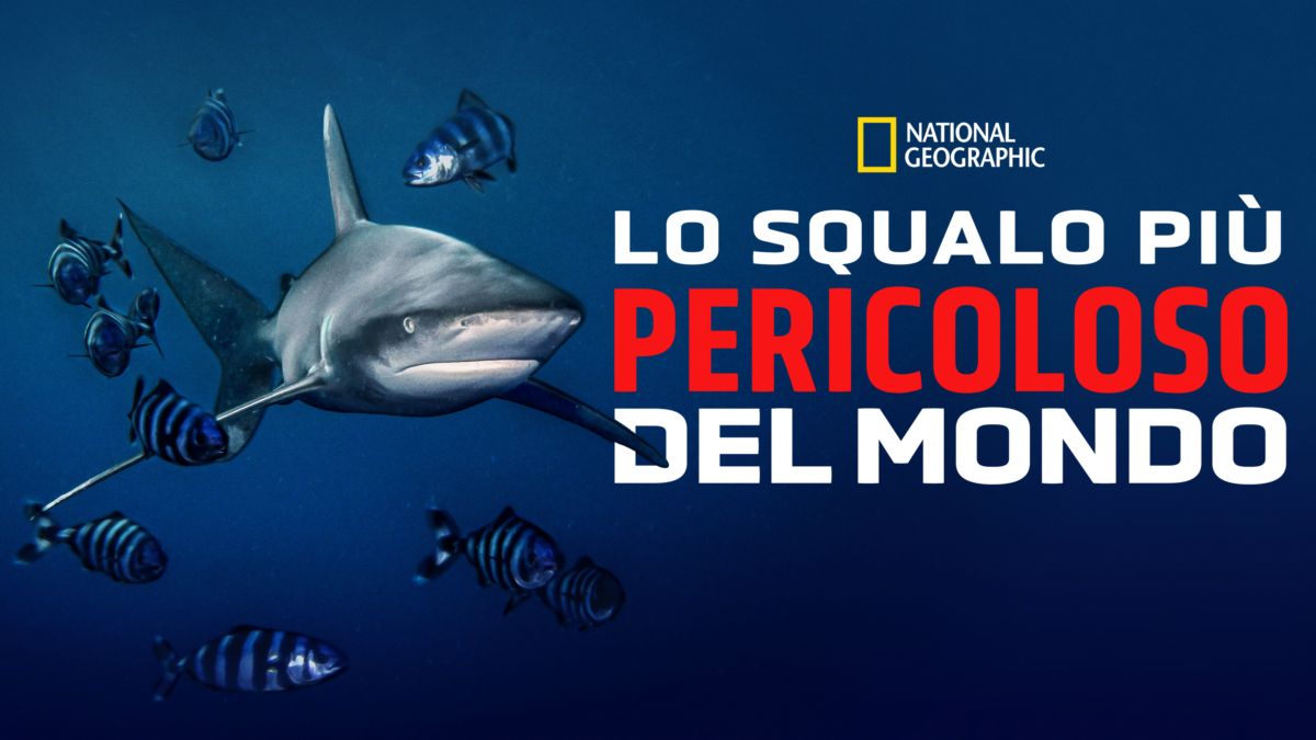 Guarda Lo squalo più pericoloso del mondo Film completo Disney+