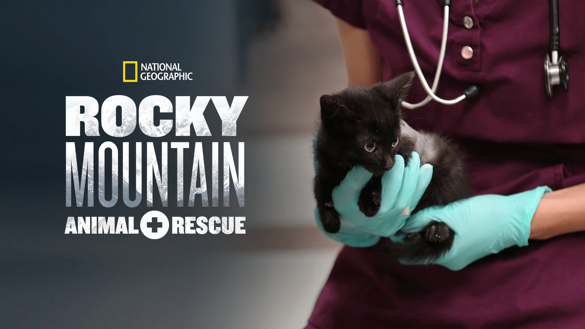 rocky mountain humane society