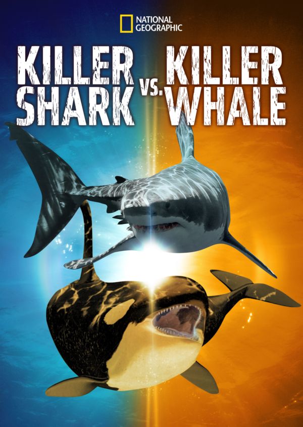 Killer Shark vs Killer Whale on Disney+ IE
