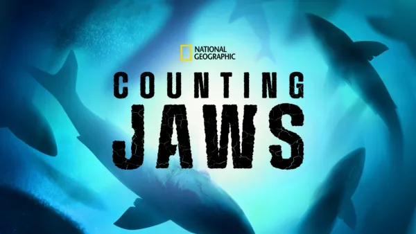 thumbnail - Counting Jaws