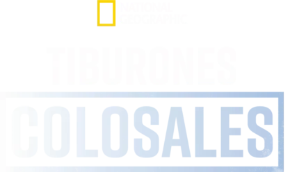 Tiburones colosales