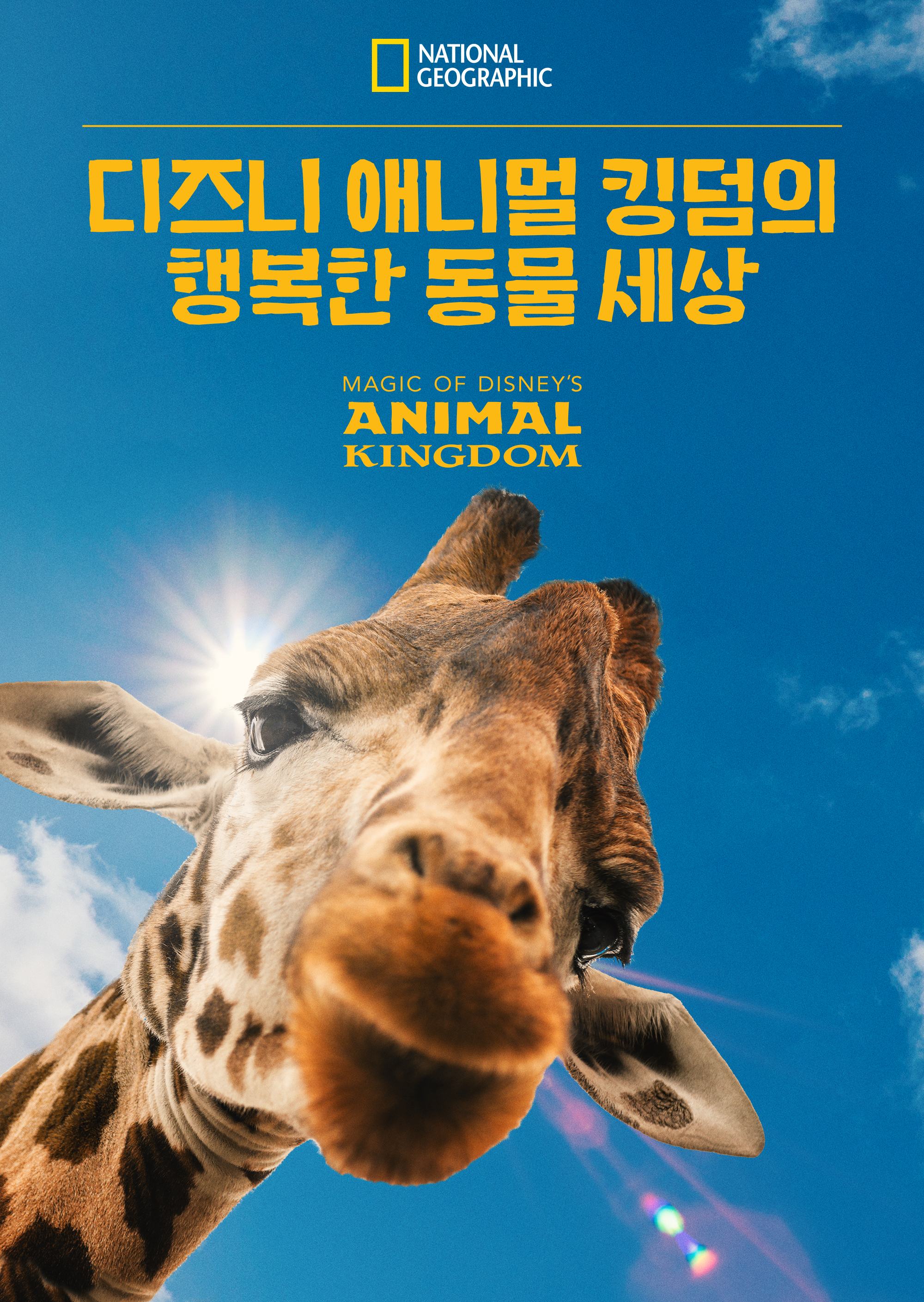 디즈니 애니멀 킹덤의 행복한 동물 세상 시즌2