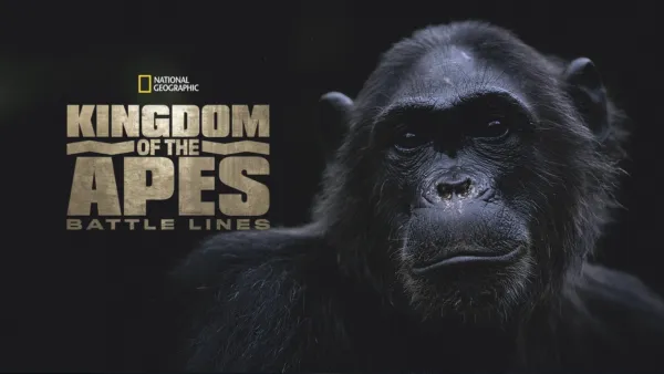 thumbnail - Kingdom of The Apes: Battle Lines