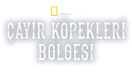 Çayır Köpekleri Bölgesi