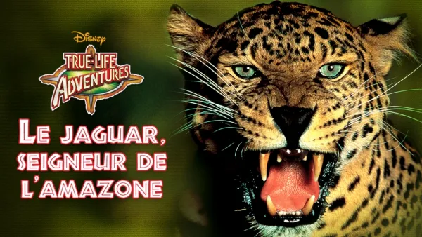thumbnail - Le Jaguar, seigneur de l'Amazone