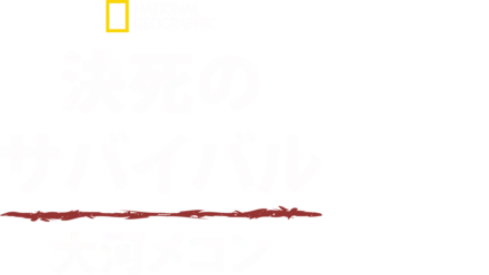 決死のサバイバル：大河メコン