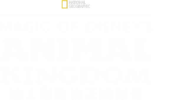 迪士尼動物王國探奇