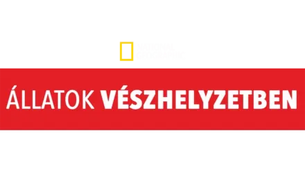 Állatok vészhelyzetben