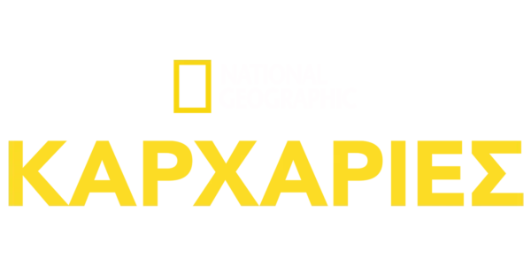National Geographic Καρχαρίες Title Art Image