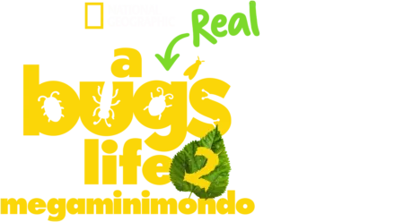 A Real Bug's Life - Megaminimondo