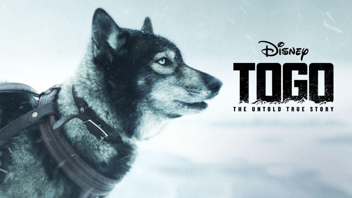 Watch Togo Full movie Disney+
