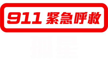 无论疾病与健康