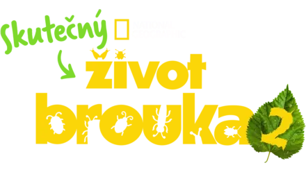 Skutečný život brouka