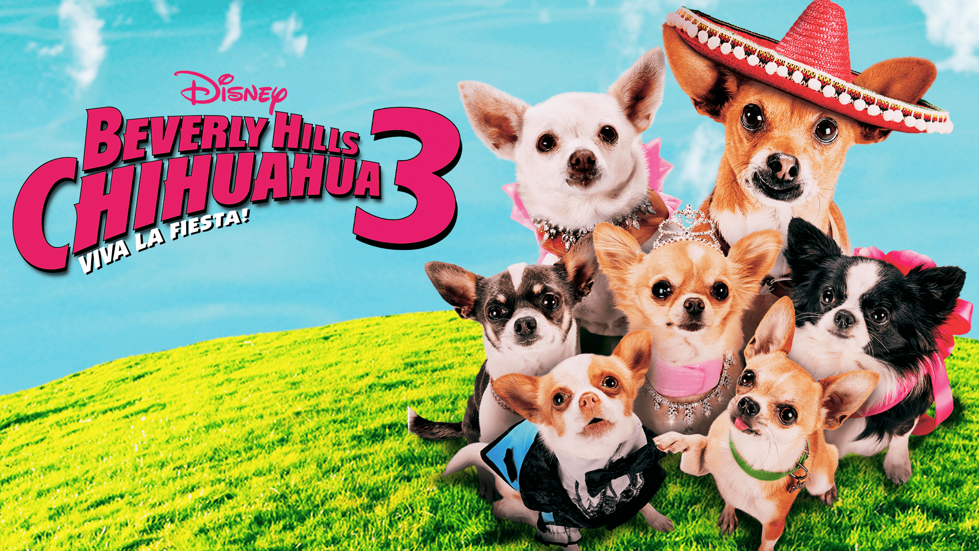 Se Beverly Hills Chihuahua 3: Viva La Fiesta! | Hele Filmen | Disney+