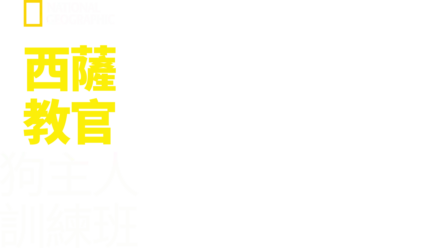 西薩教官狗主人訓練班