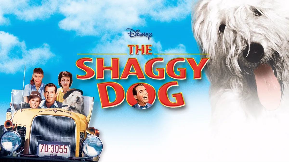 The shaggy dog hot sale online